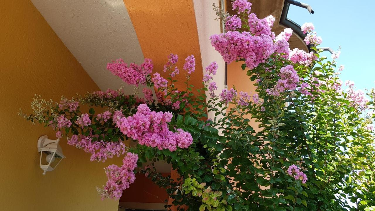 B&B Villa Giulia 데센자노델가르다 외부 사진