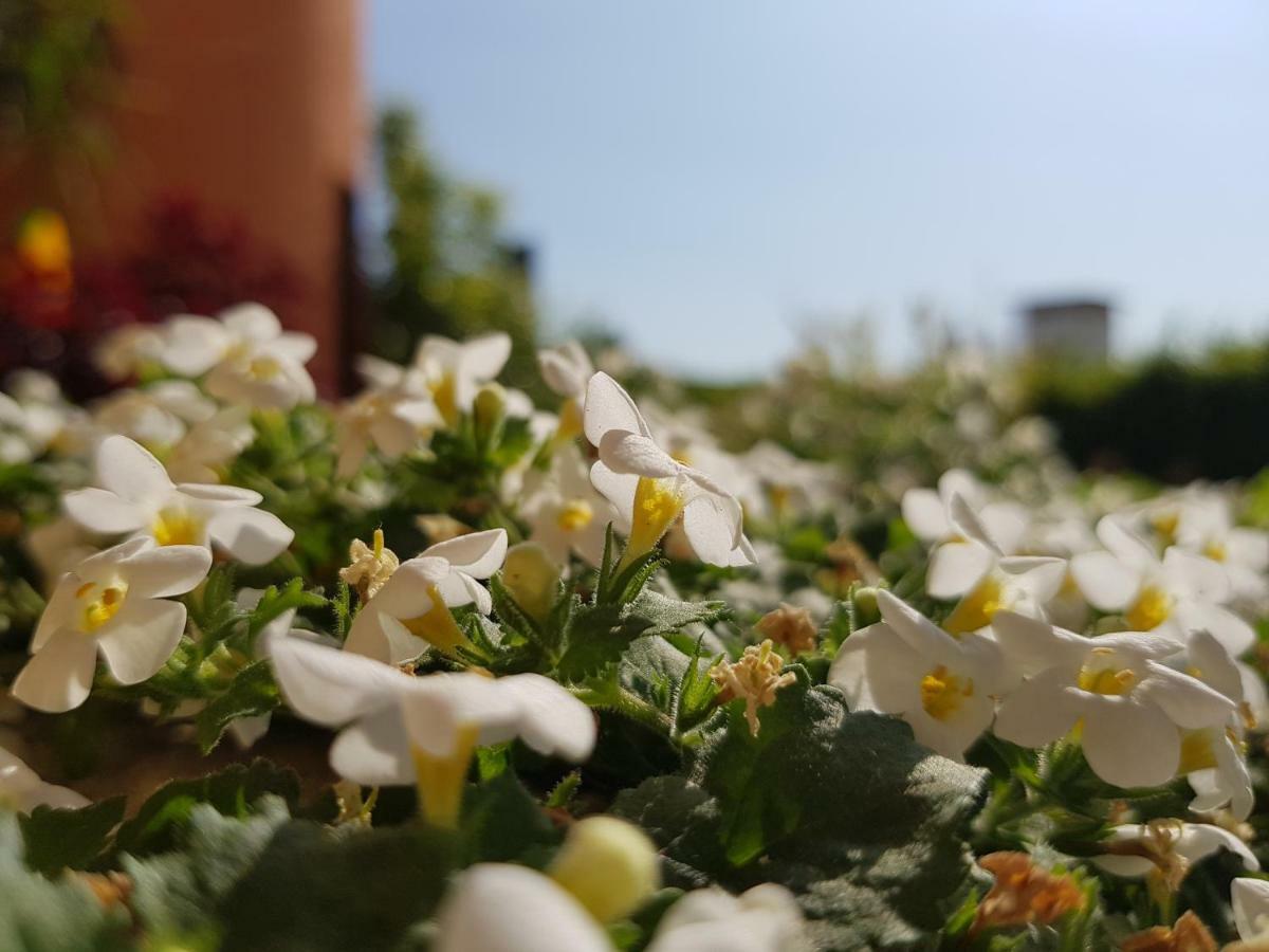 B&B Villa Giulia 데센자노델가르다 외부 사진